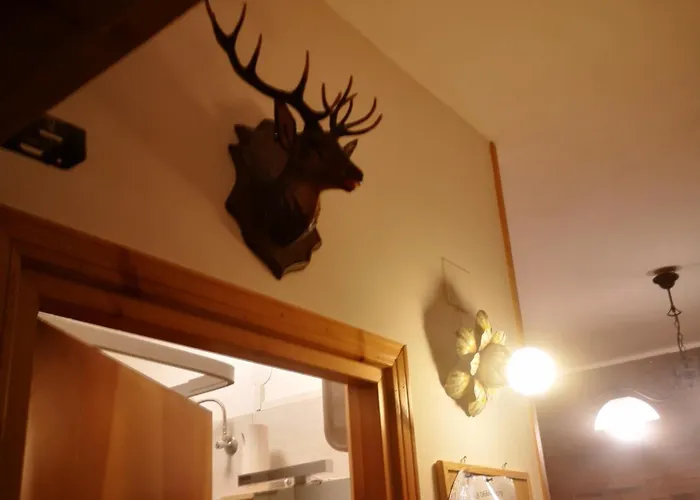 Daire Casa Giovy Roccaraso